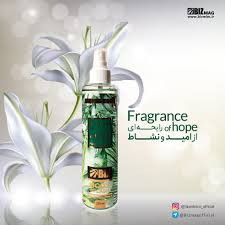 بادی اسپلش بیز